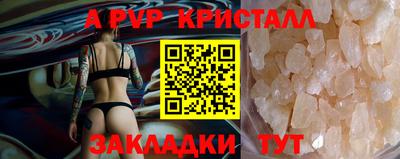 стаф Берёзовский