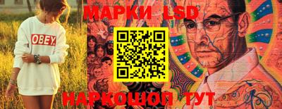 стаф Берёзовский