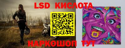 стаф Берёзовский