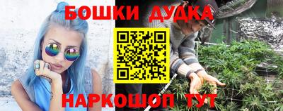 стаф Берёзовский