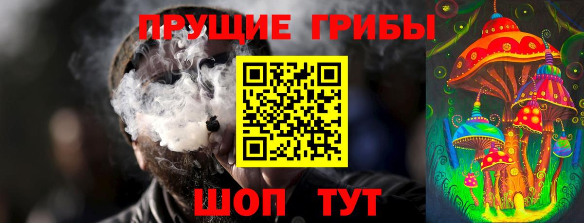Псилоцибиновые грибы ЛСД  наркошоп  Вход с VPN  Кашира  Псилоцибиновые грибы мицелий 